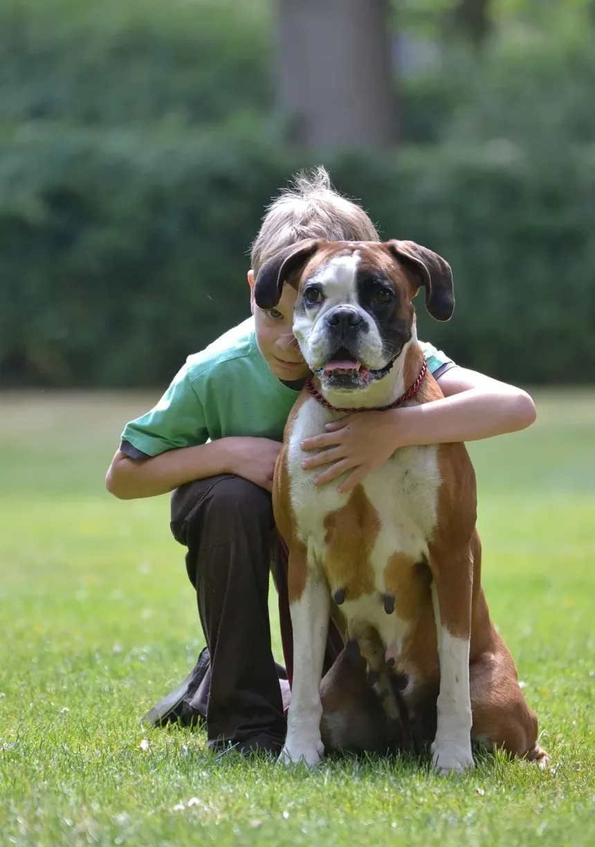 Como Cortar as Unhas do Meu Cão Quando Ele Não Deixa